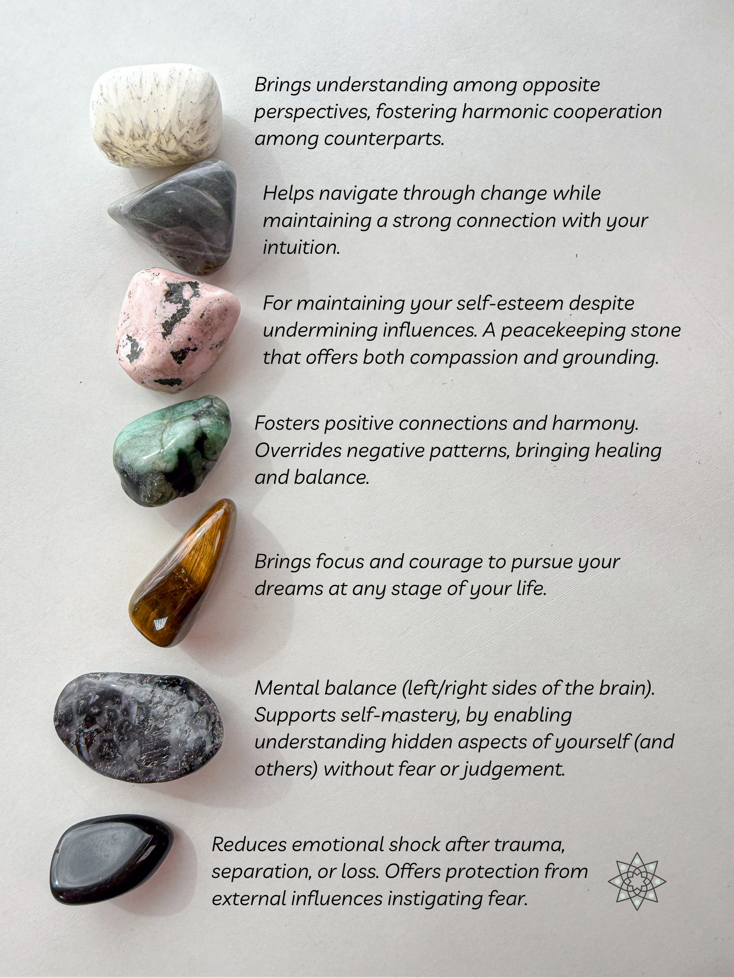 Aquarius Zodiac 6 Crystal Set | January-February Birthday Gift | Zodiac Sign Gift