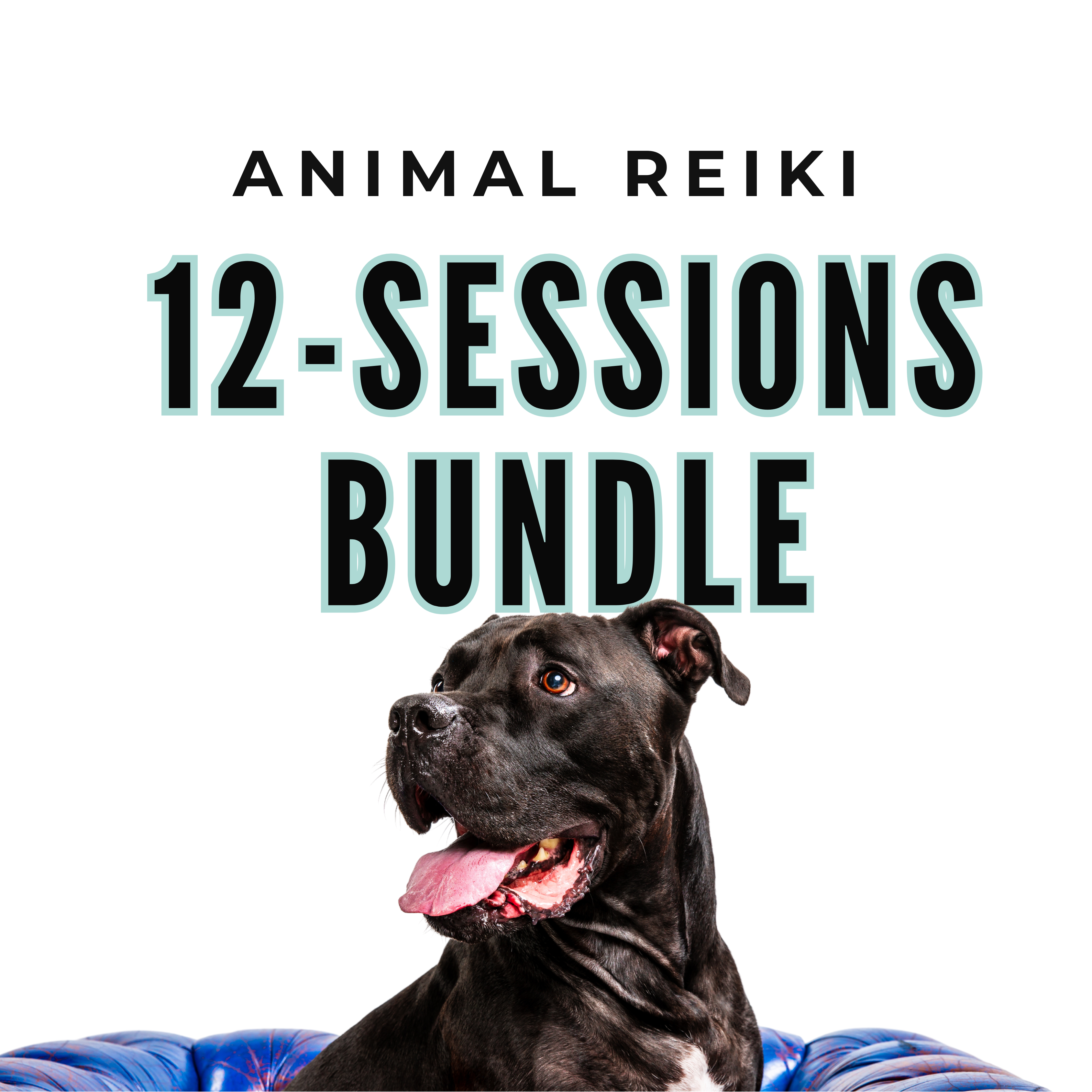 Distance Reiki Multi Session Bundles – The Zen Geologist