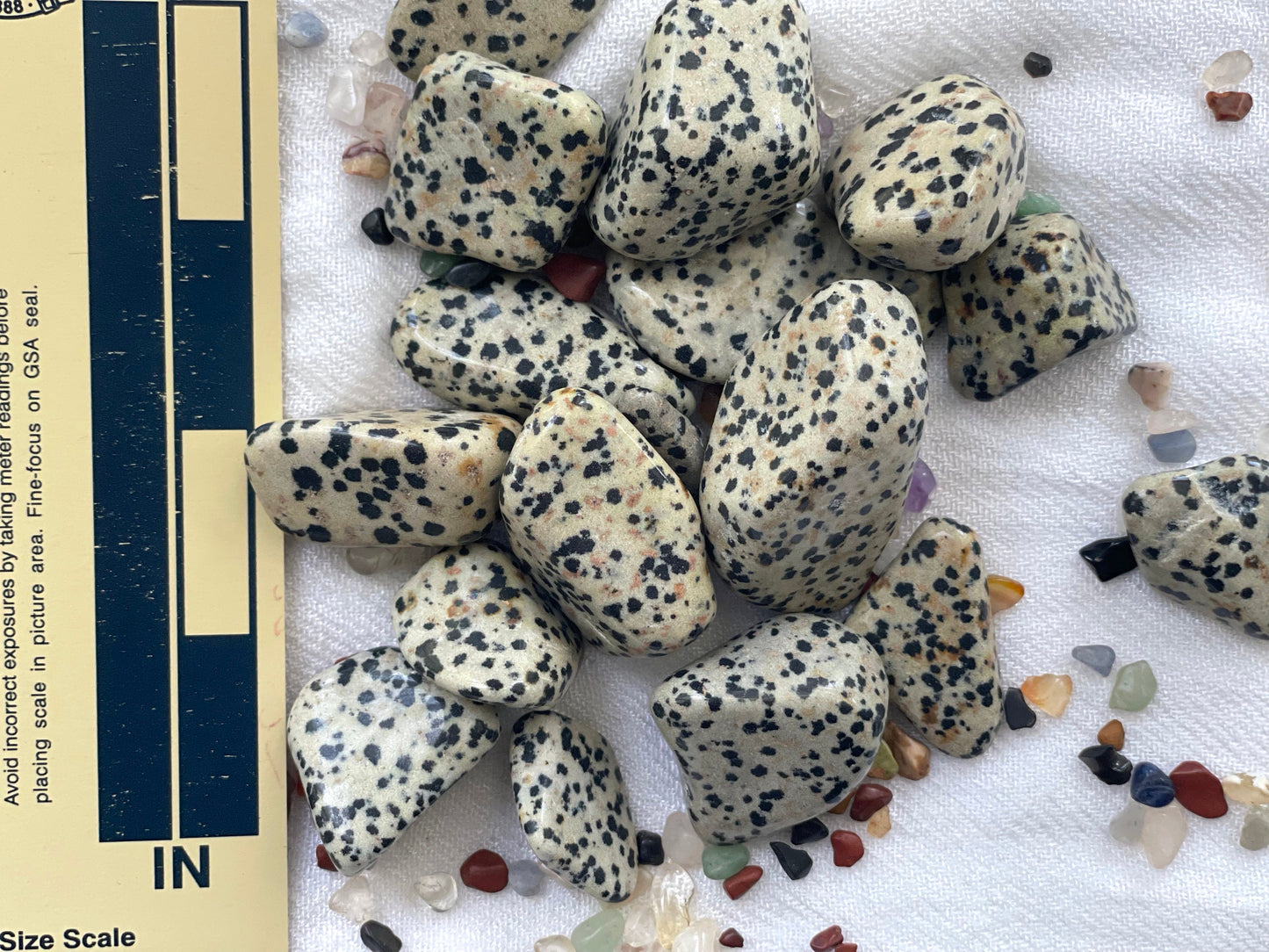 Dalmatian Jasper. Tumbled