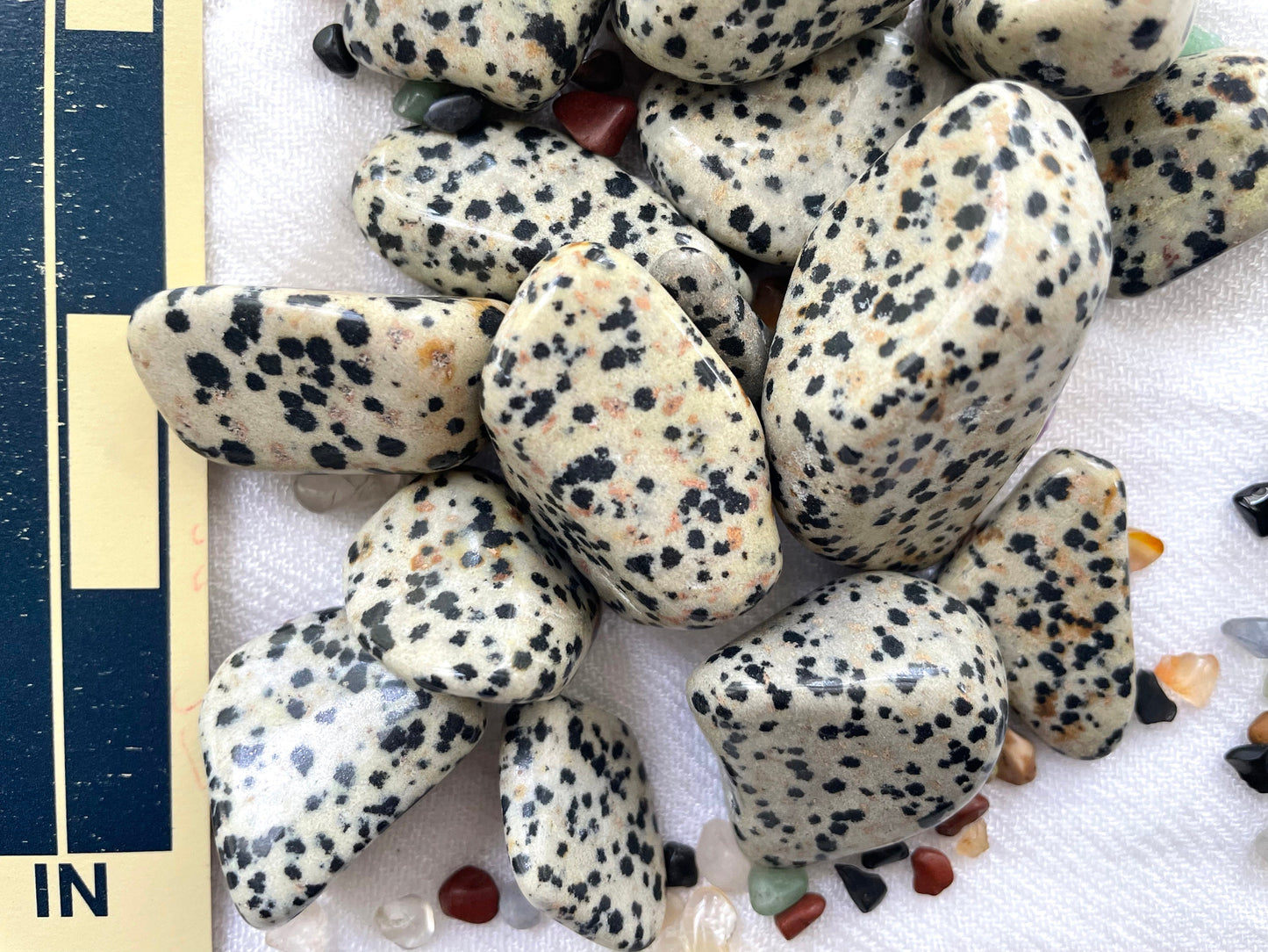 Dalmatian Jasper. Tumbled