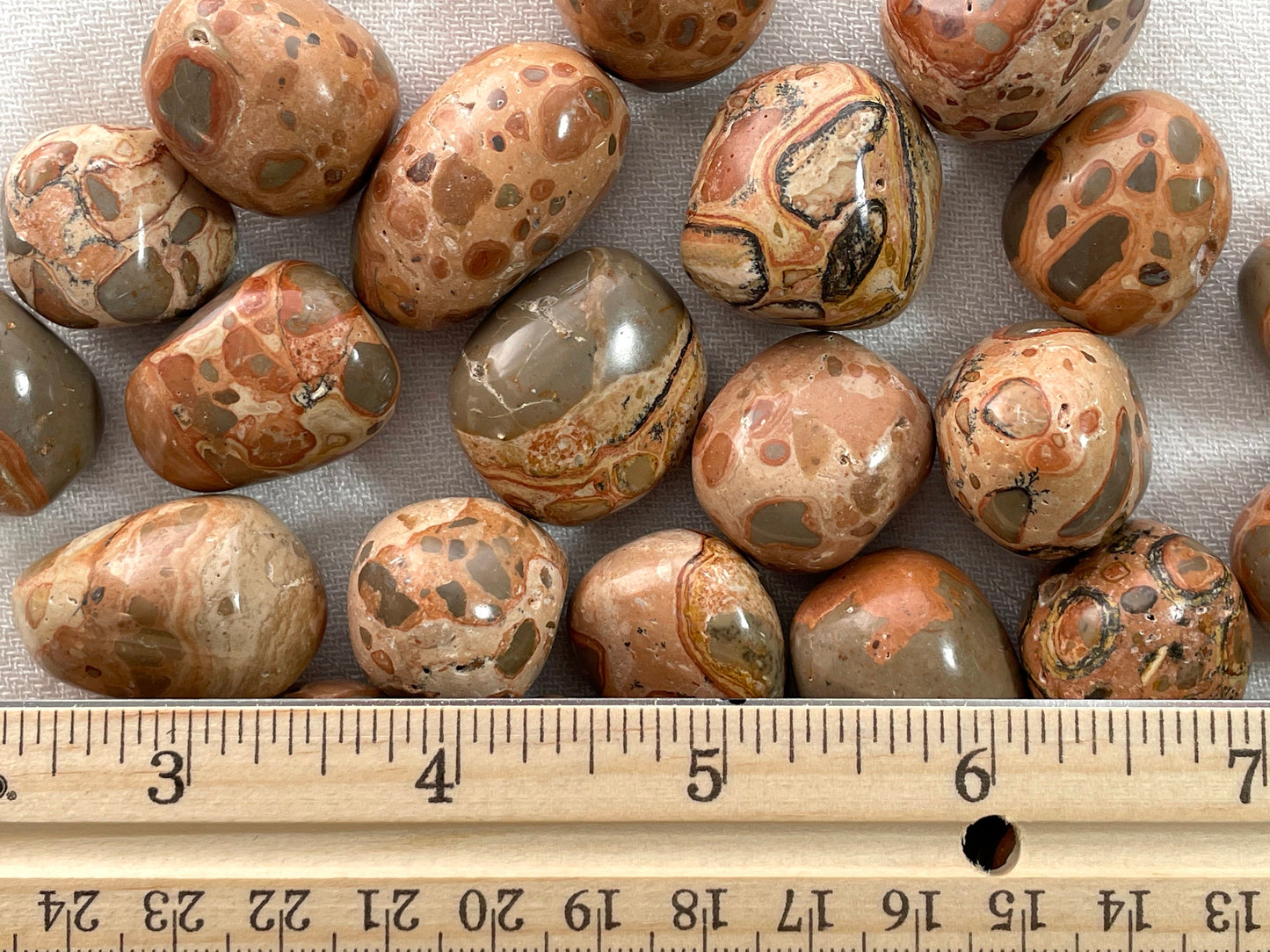 Leopardite, Tumbled or Rough| Leopardskin Jasper | Jaguar Stone | Shaman Stone.
