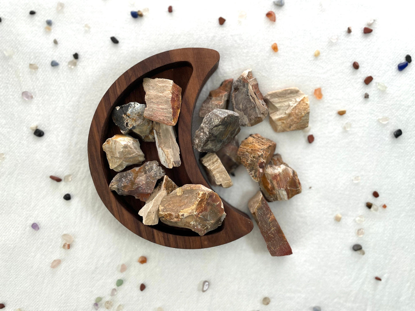 Natural Petrified  Wood | Fossilized Wood | Root and Sacral Chakra Stone