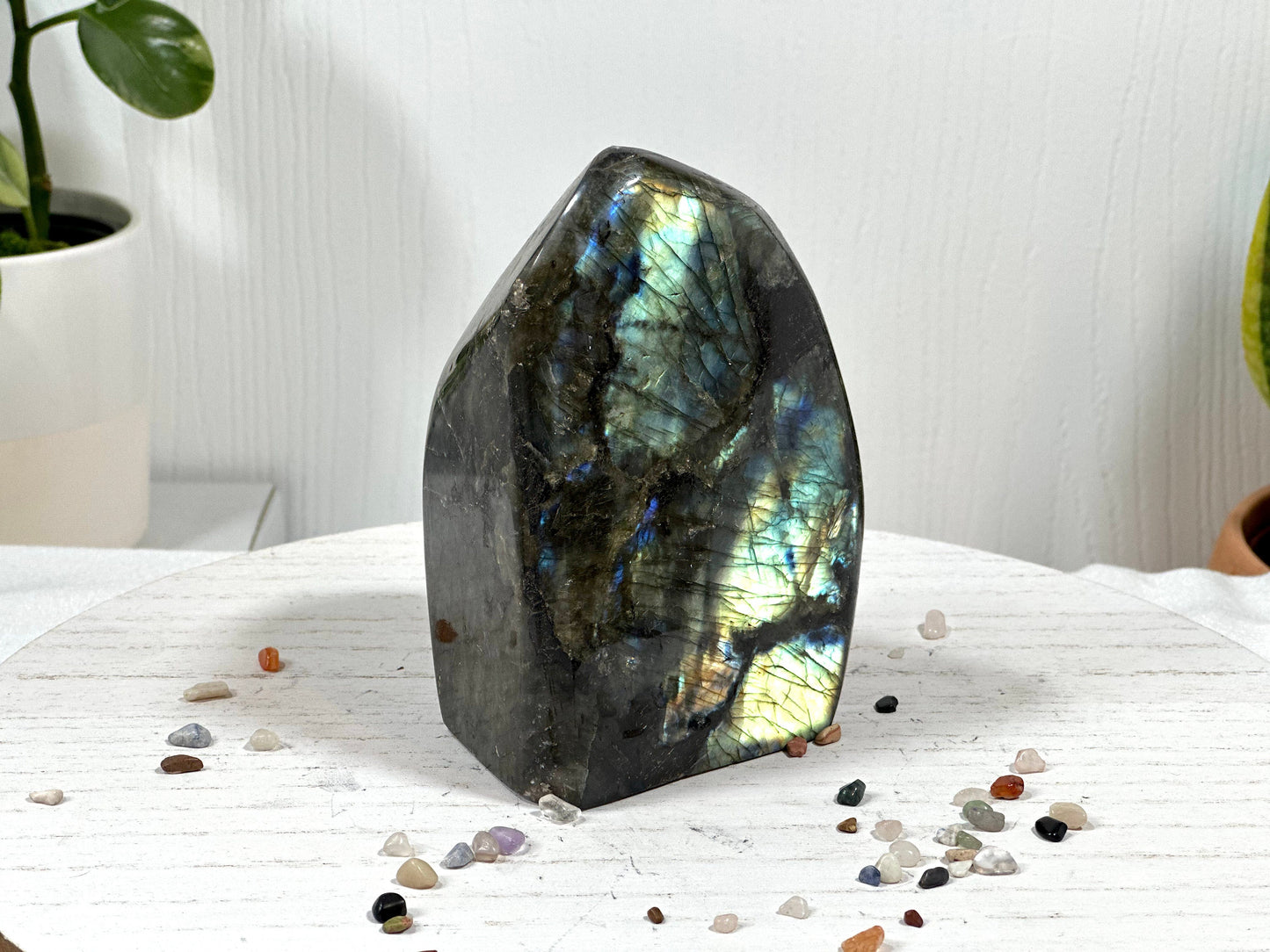 Large Labradorite Free Form, 1.4 Kg
