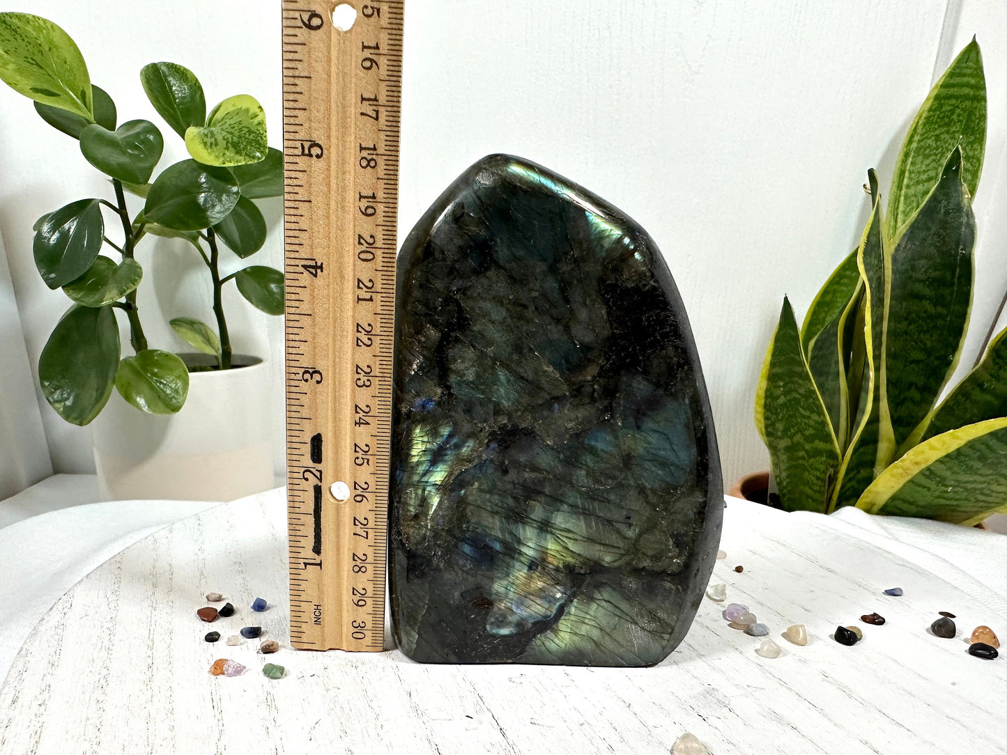 Large Labradorite Free Form, 1.4 Kg