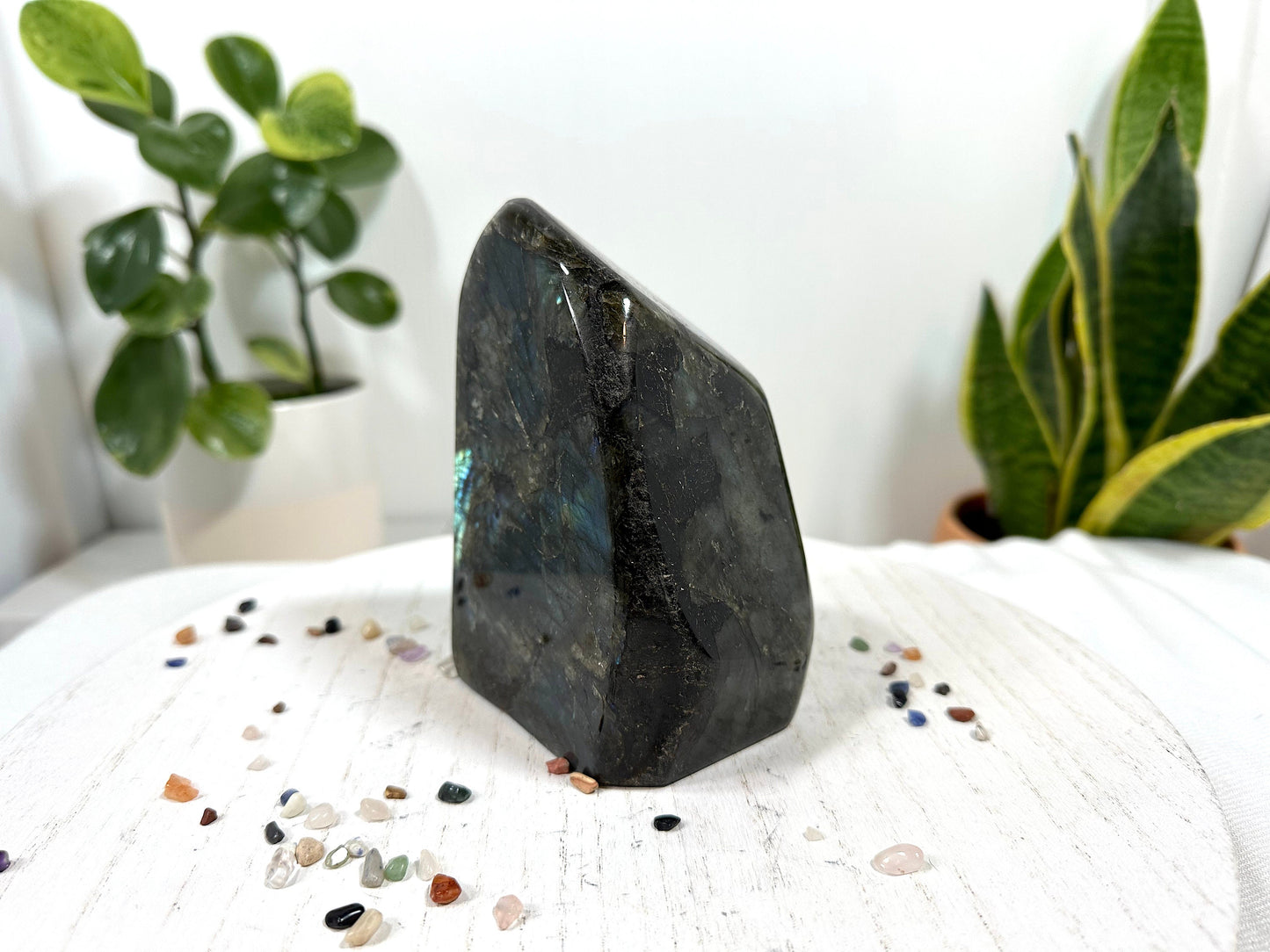 Large Labradorite Free Form, 1.4 Kg