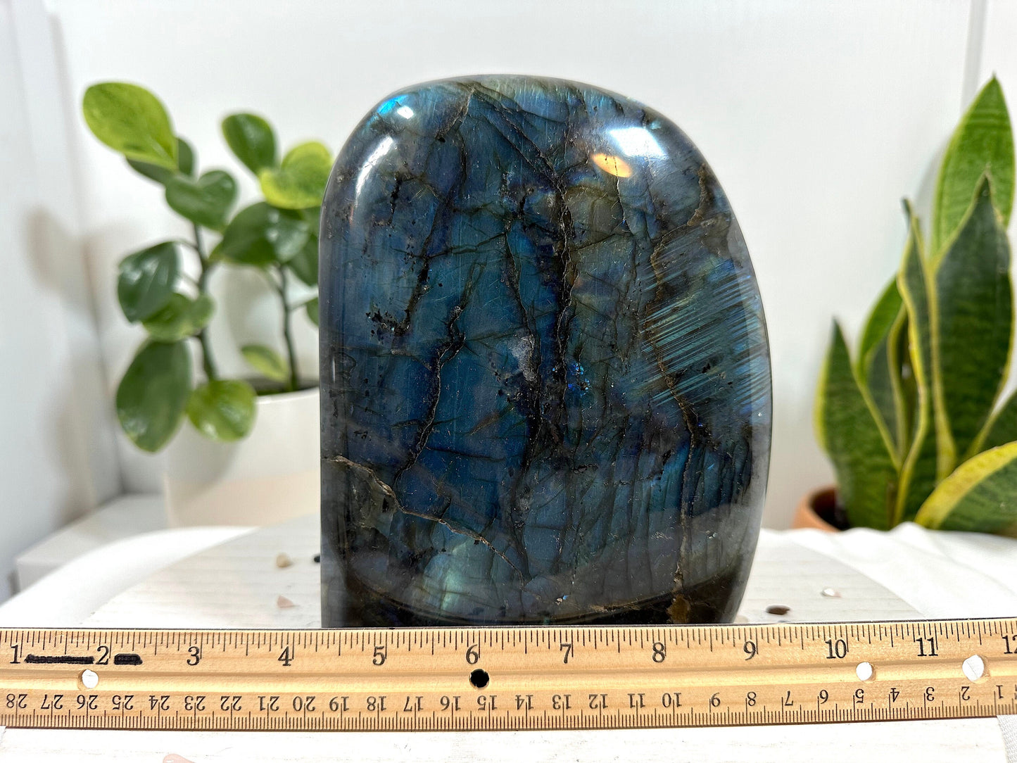 XL Labradorite Free Form 7lbs (3.4 Kg)